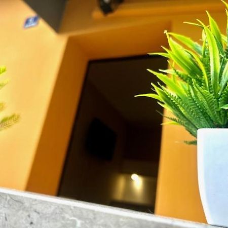 Residence Zar 8 Trieste Bagian luar foto