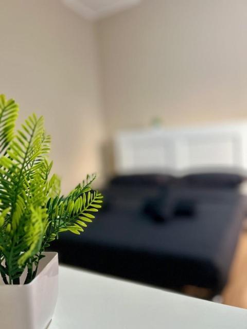 Residence Zar 8 Trieste Bagian luar foto